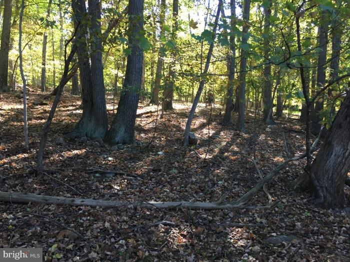 THUNDERBIRD HILLS - Residential