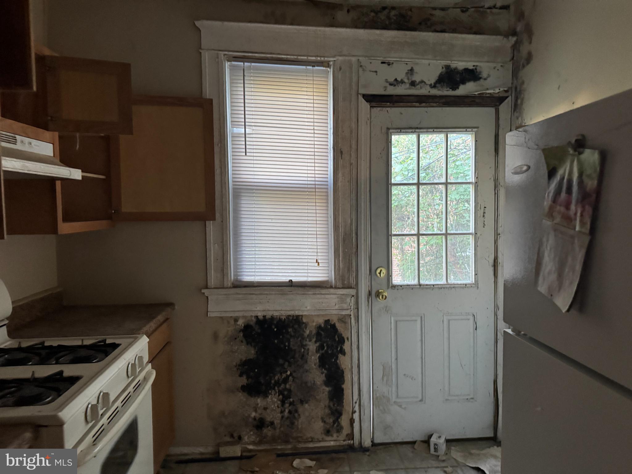 BETTER WAVERLY HISTORIC DISTRICT - Residential