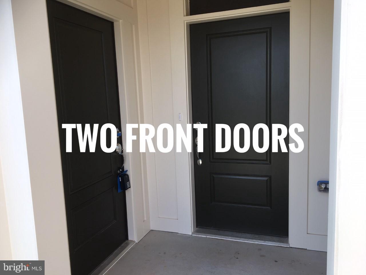 22591 AMENDOLA TERRACE