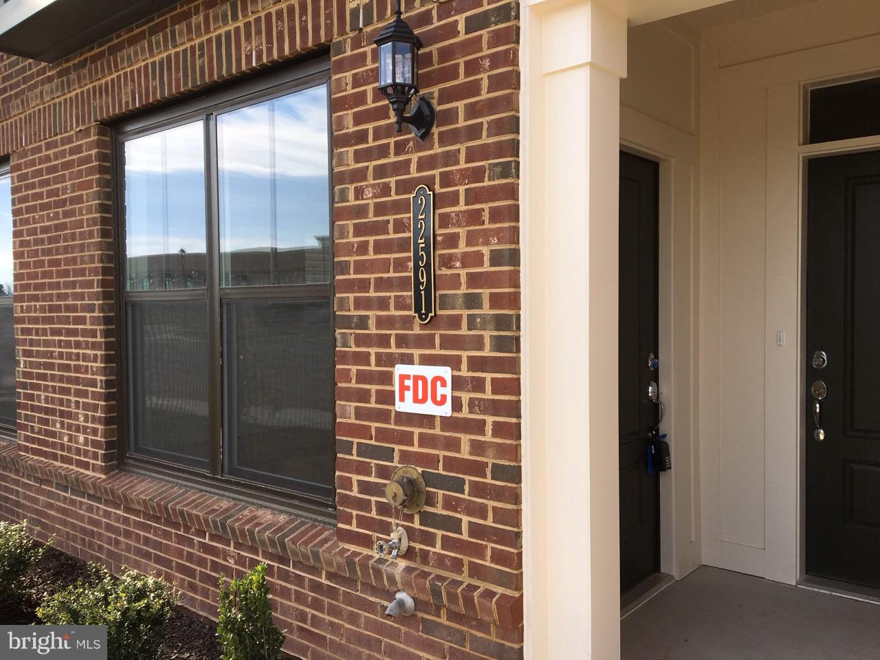 22591 AMENDOLA TERRACE