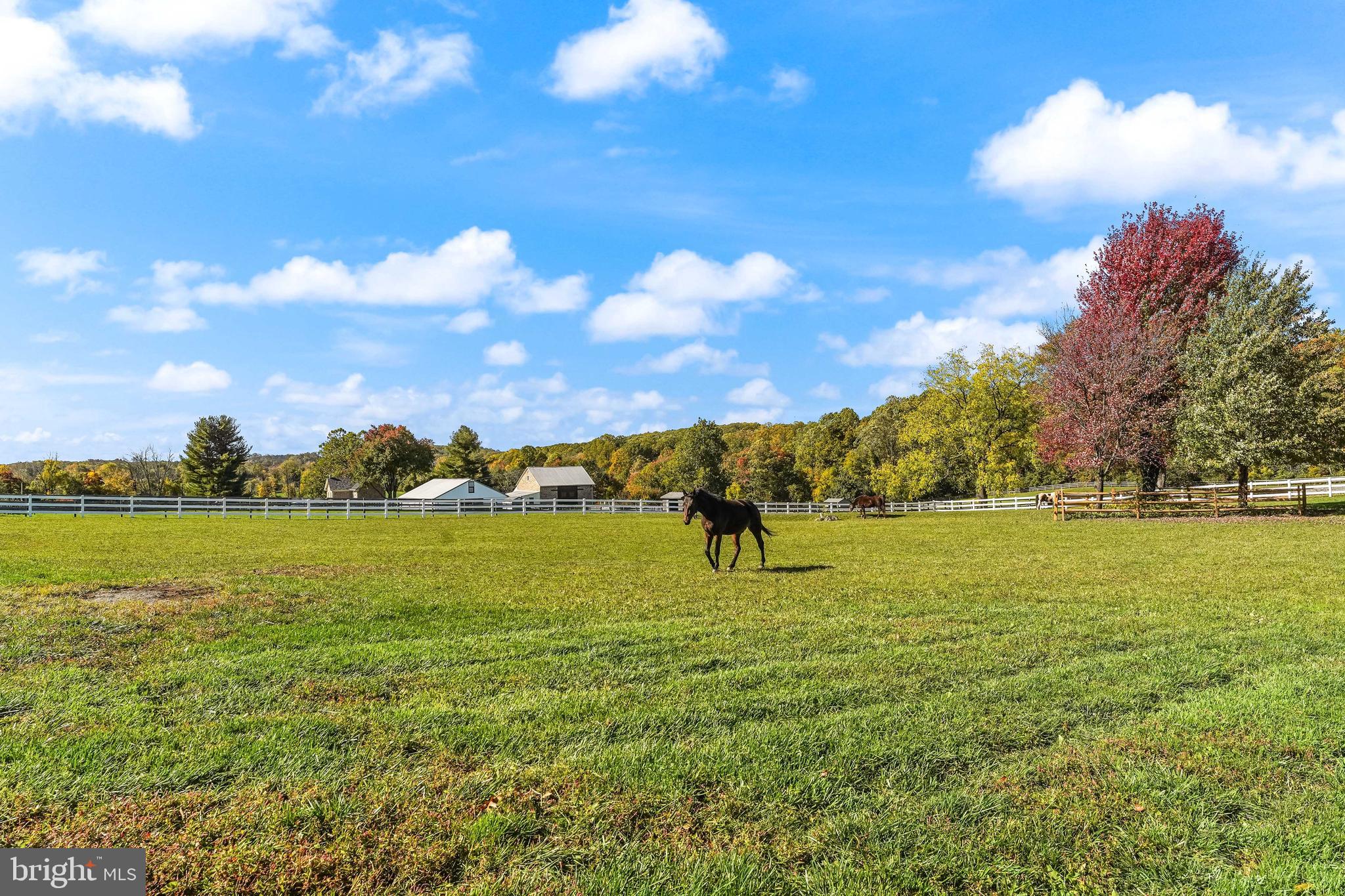 BIRCH RUN - Residential