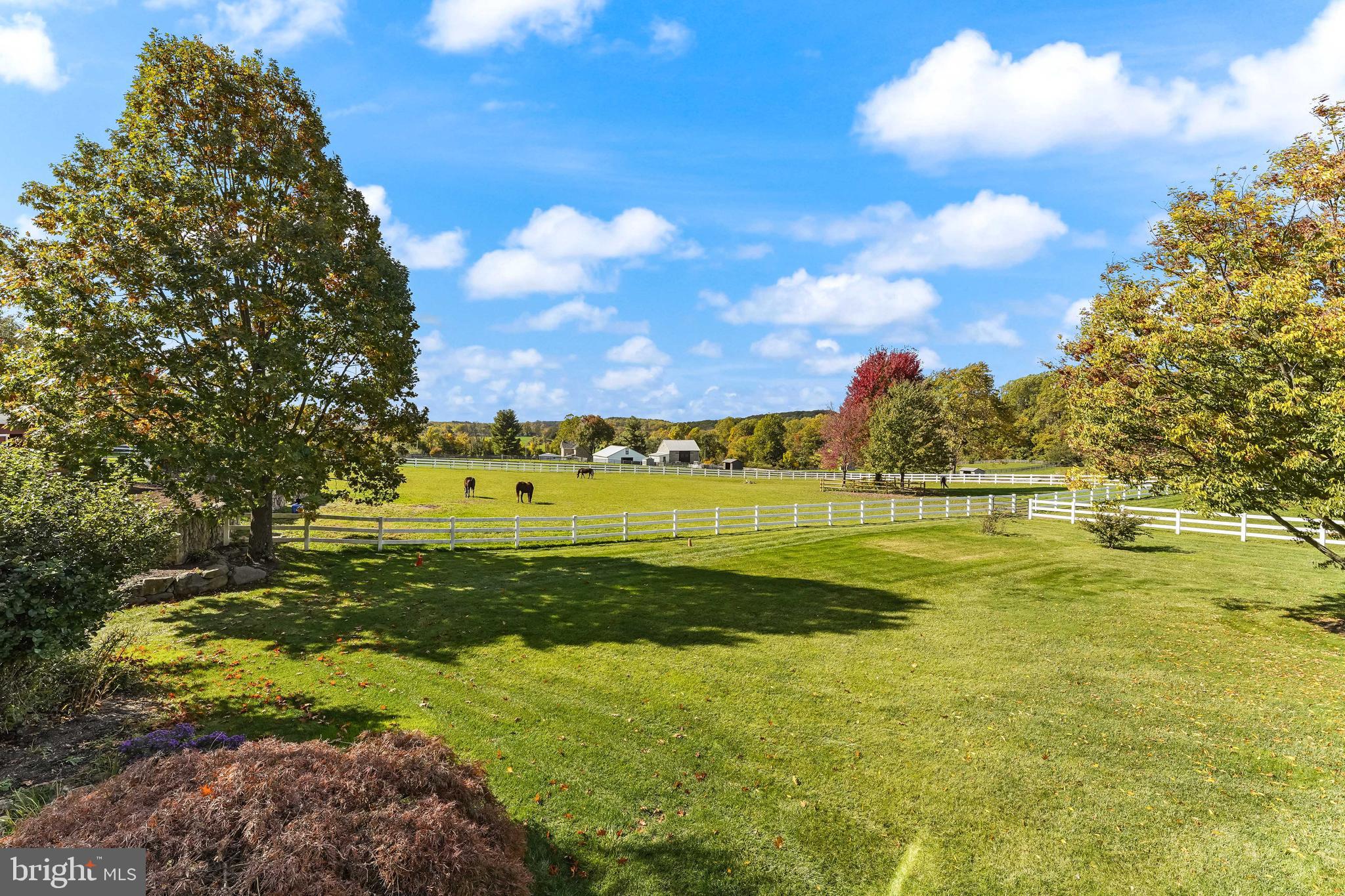 BIRCH RUN - Residential