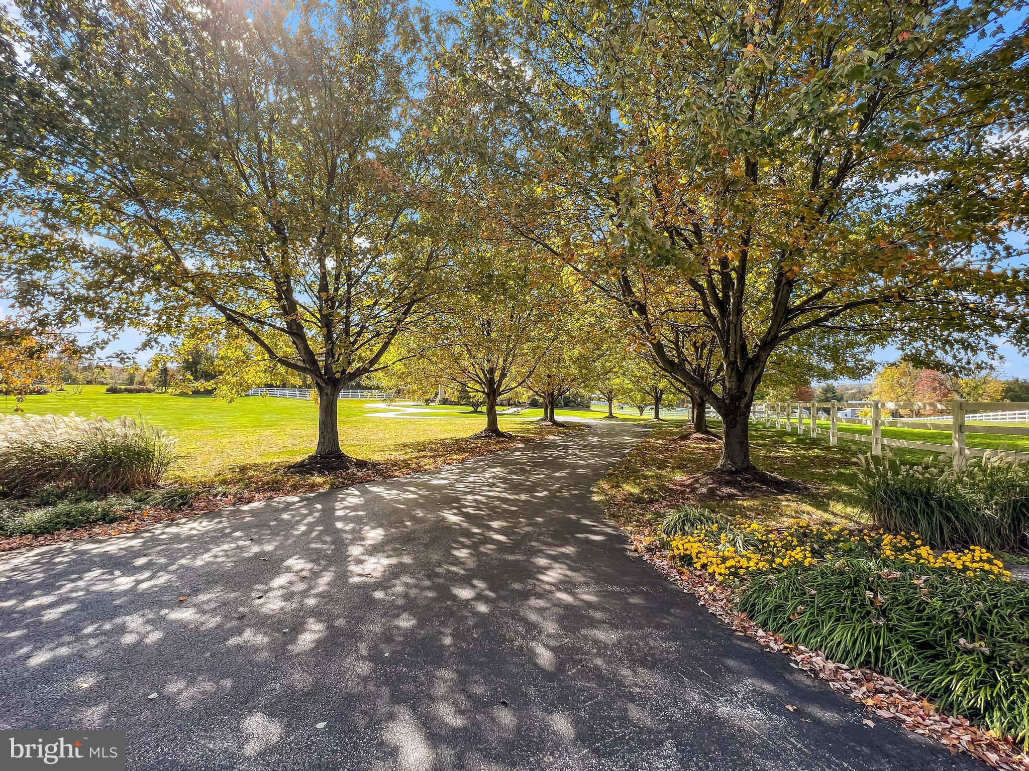 BIRCH RUN - Residential