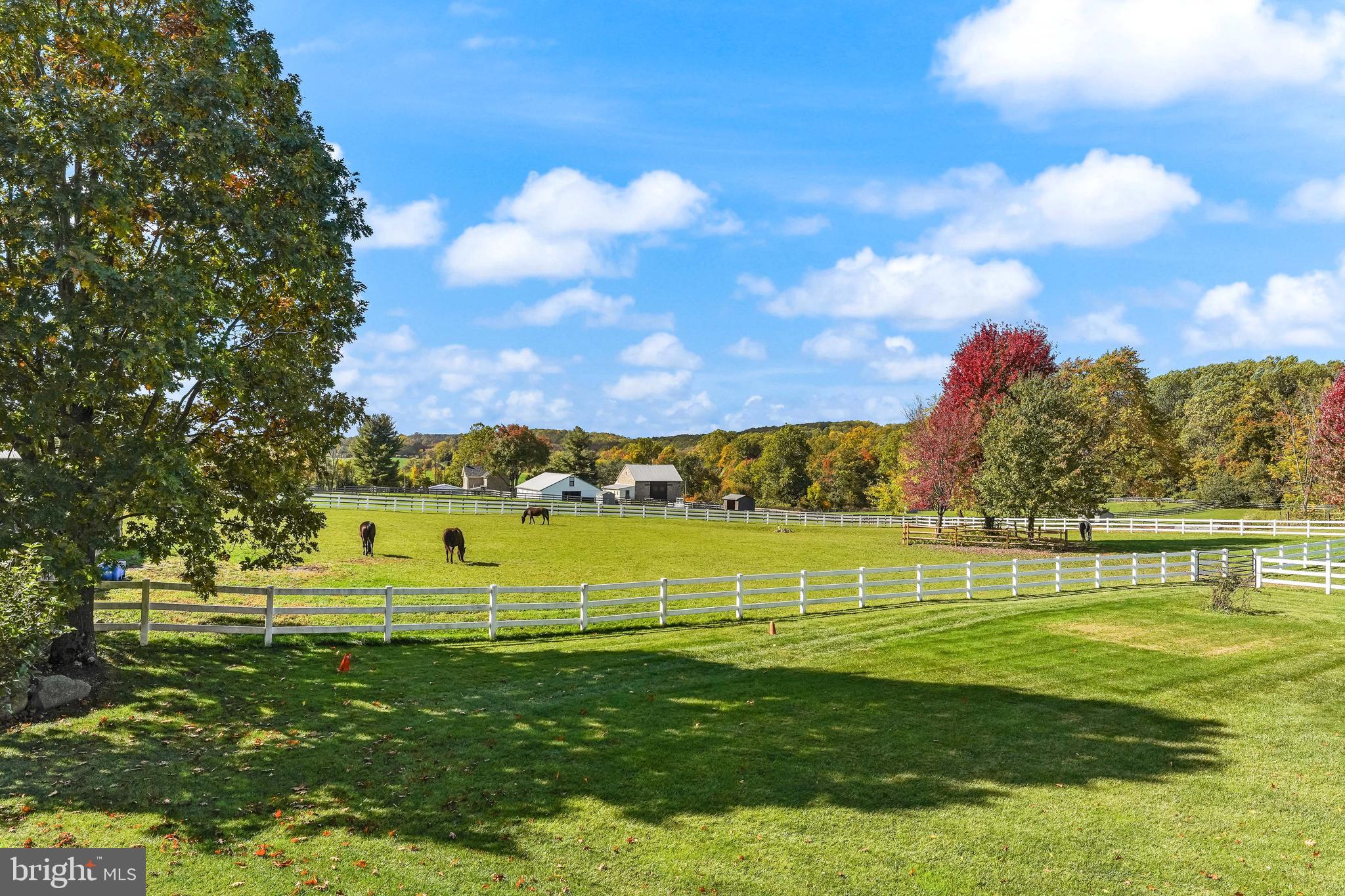 BIRCH RUN - Residential