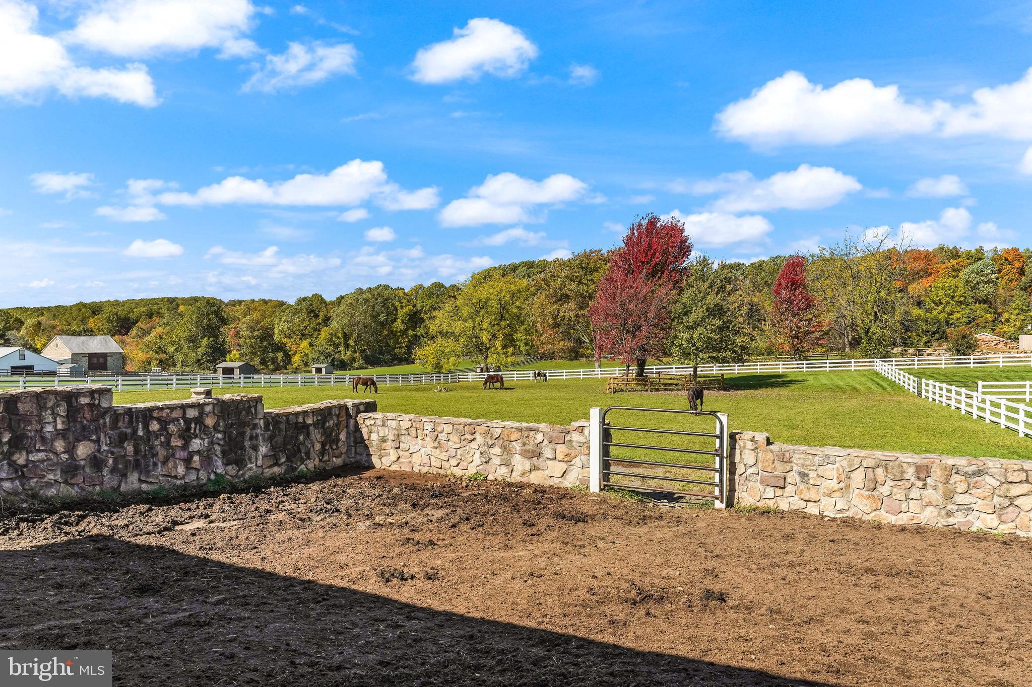 BIRCH RUN - Residential