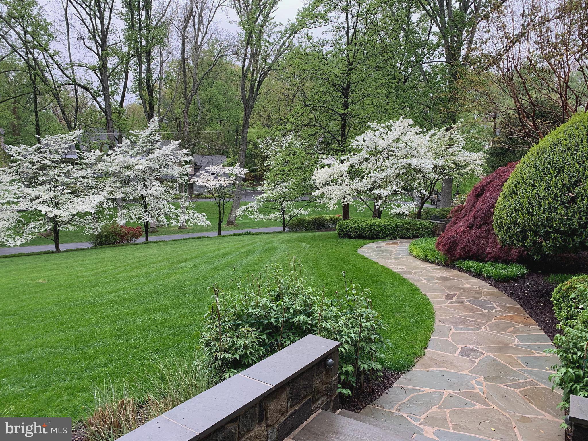 ELMWOOD ESTATES - Residential