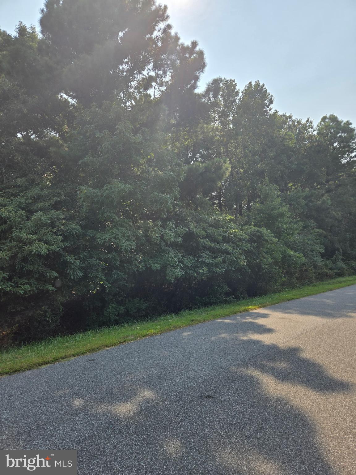 Lot A SALISBURY ROAD