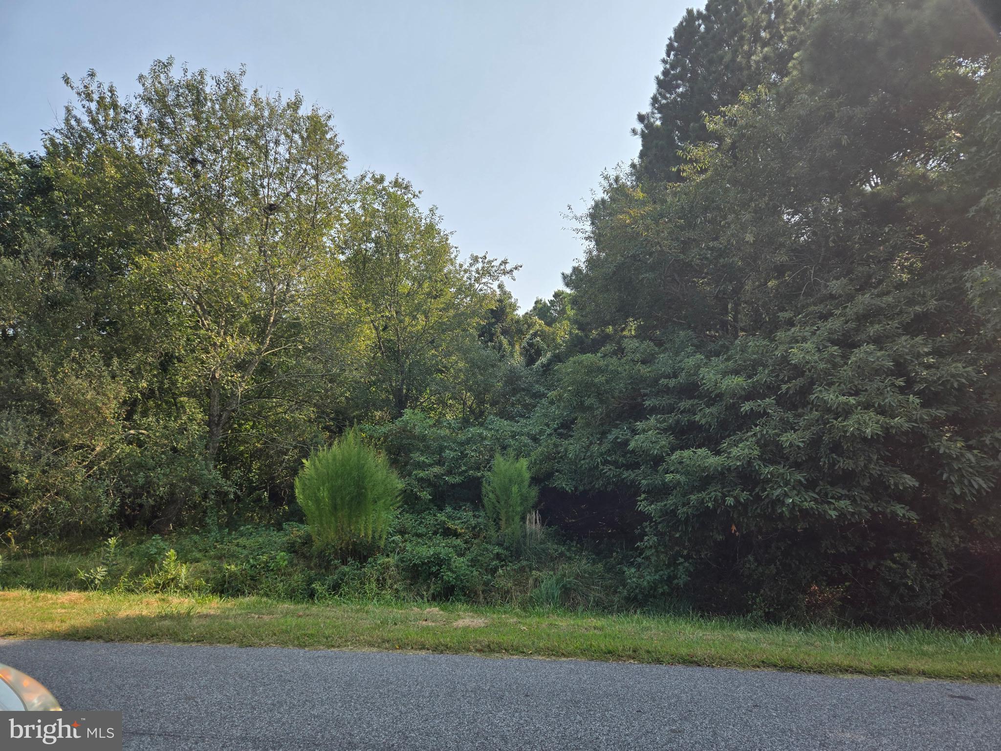 Lot A SALISBURY ROAD