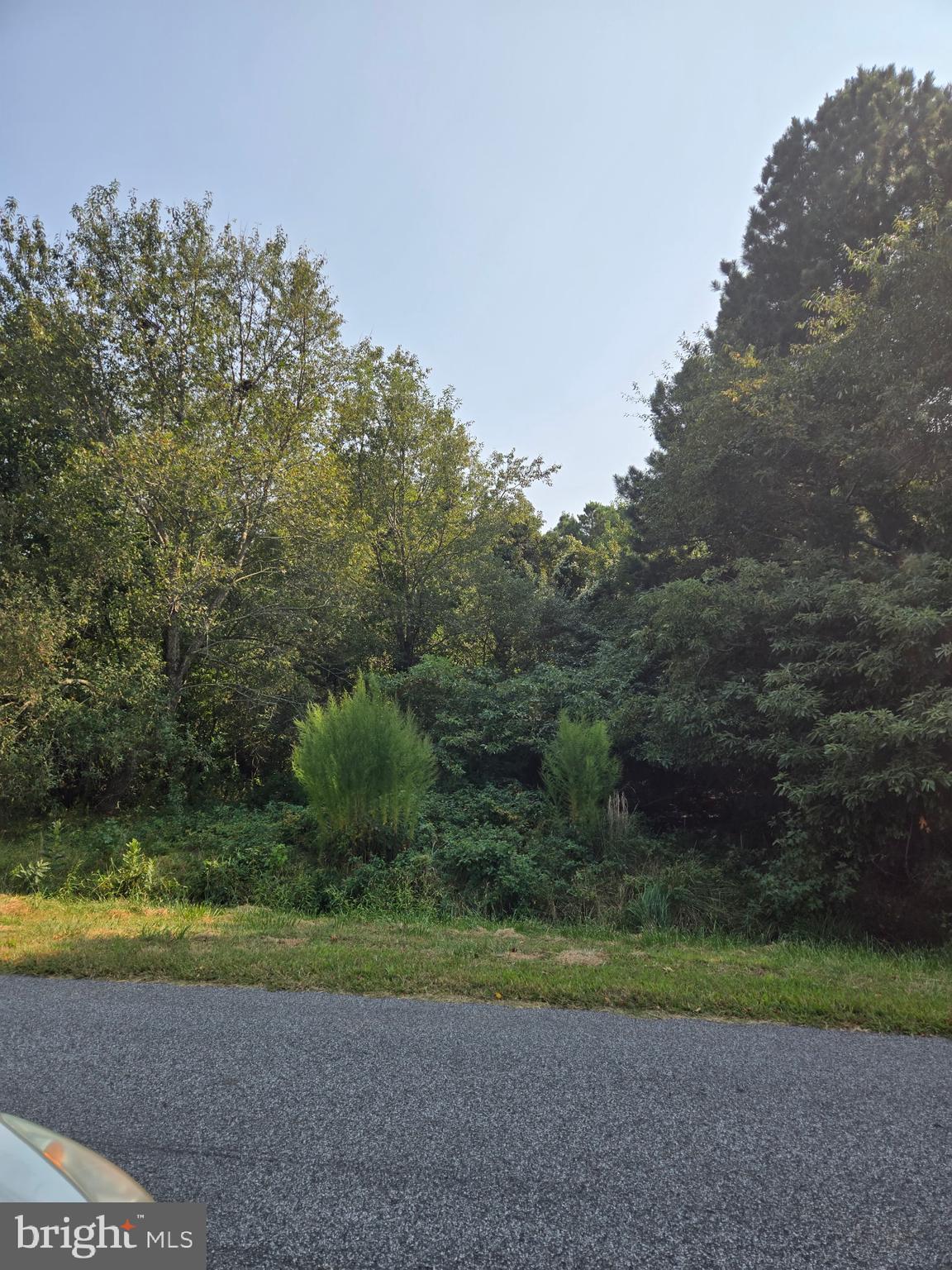 Lot A SALISBURY ROAD