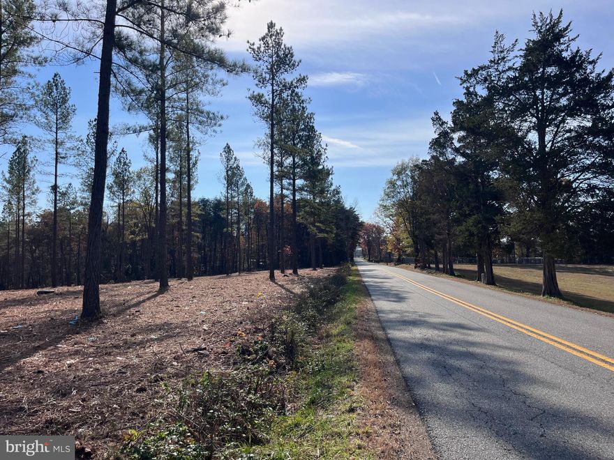 The Lawyers Seed tract is just shy of 15 acres with good road frontage on Lawyers rd in Spotsylvania County. This property lays flat to rolling with power, a 4-bedroom perc site, and no restrictions. Located 25 minutes from Orange, 10 minutes to Lake Anna, 1 hour to Charlottesville & Richmond, and 35 minutes to Fredericksburg this property is located centrally to a ton of very nice places. The Timber on this tract is comprised of mature loblolly pine that was just thinned, and seed trees were left creating and almost Savanna like look to the property. This would make for a wonderful building site while still having acreage to hunt, ride 4 wheelers, and recreate.