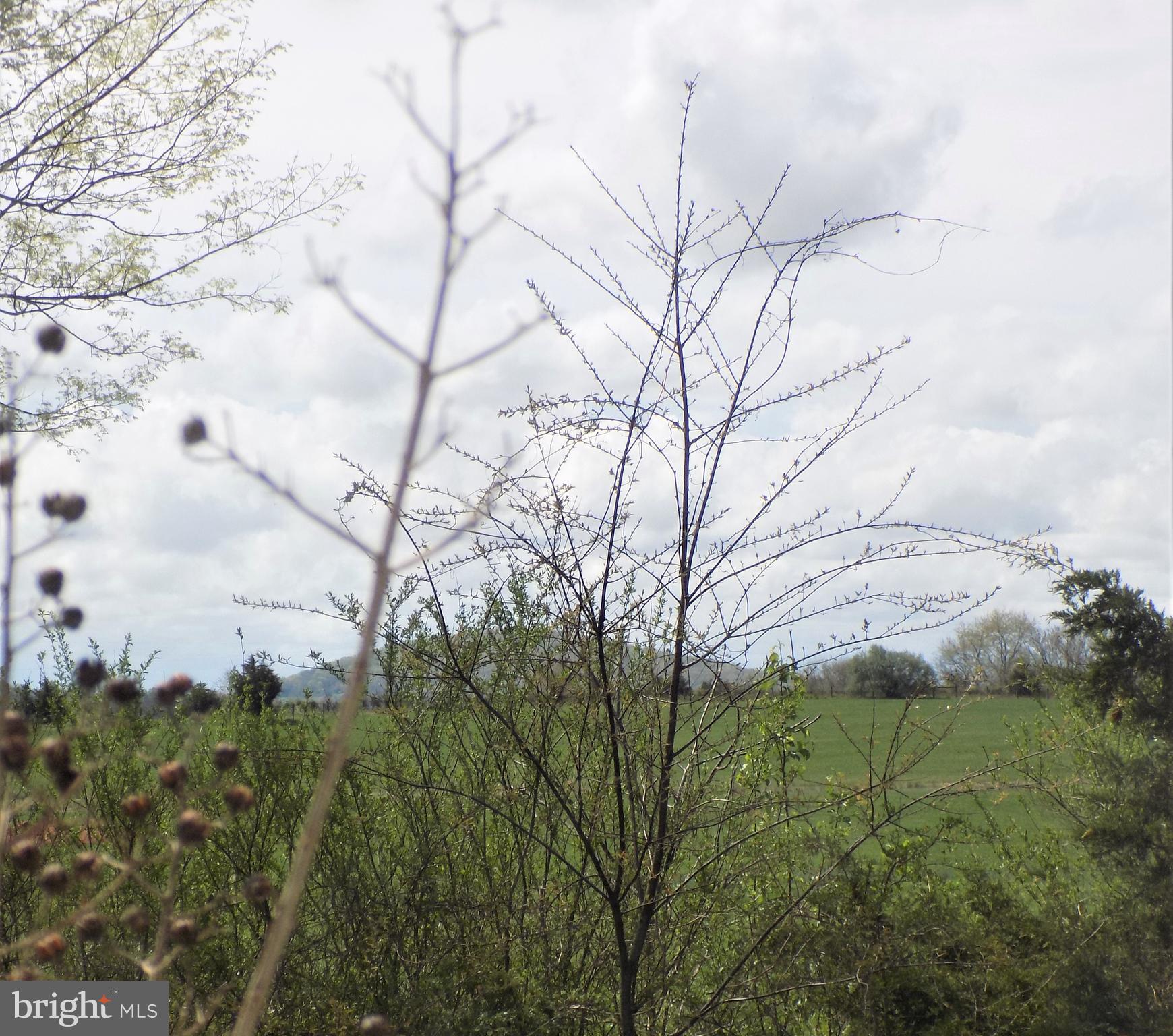 CLAIRMONT MANOR - Residential