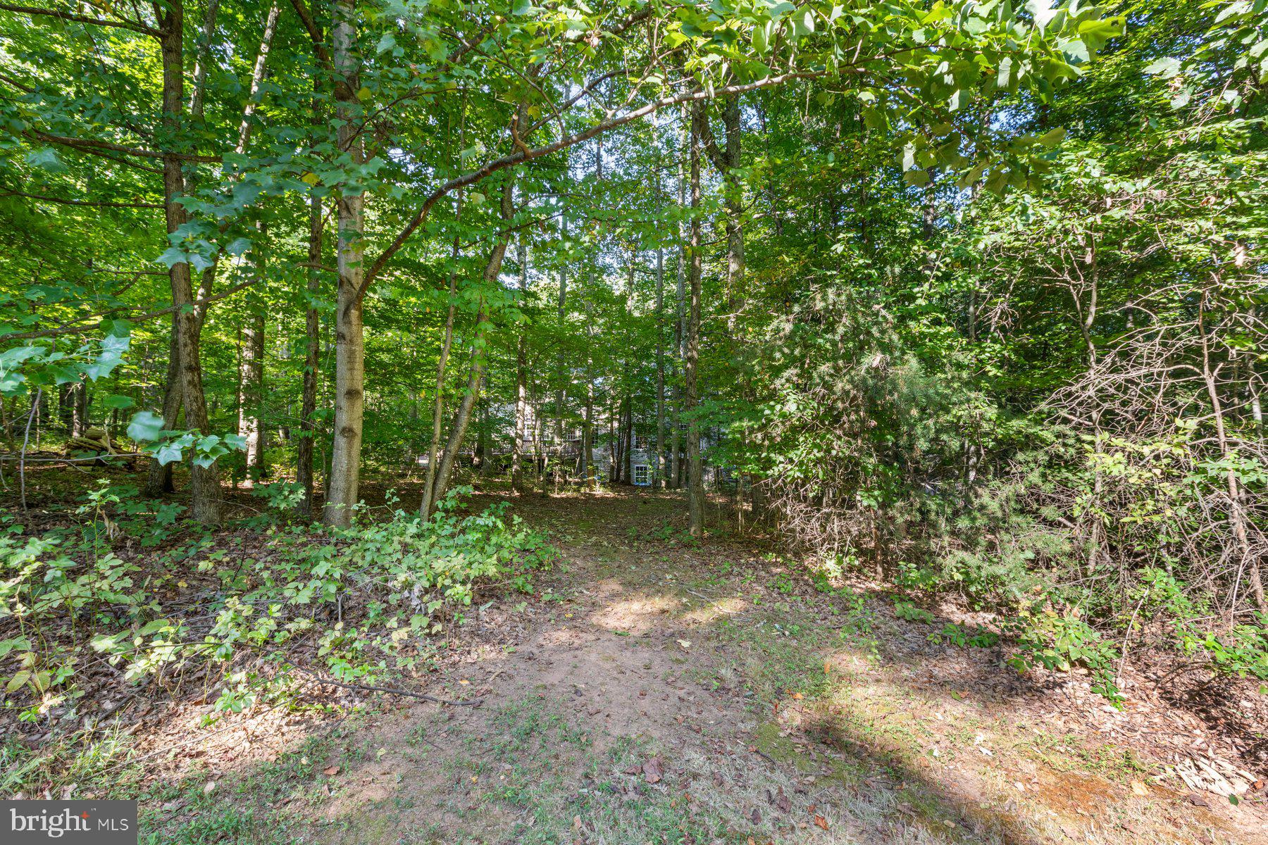 BIG WOODS - Residential