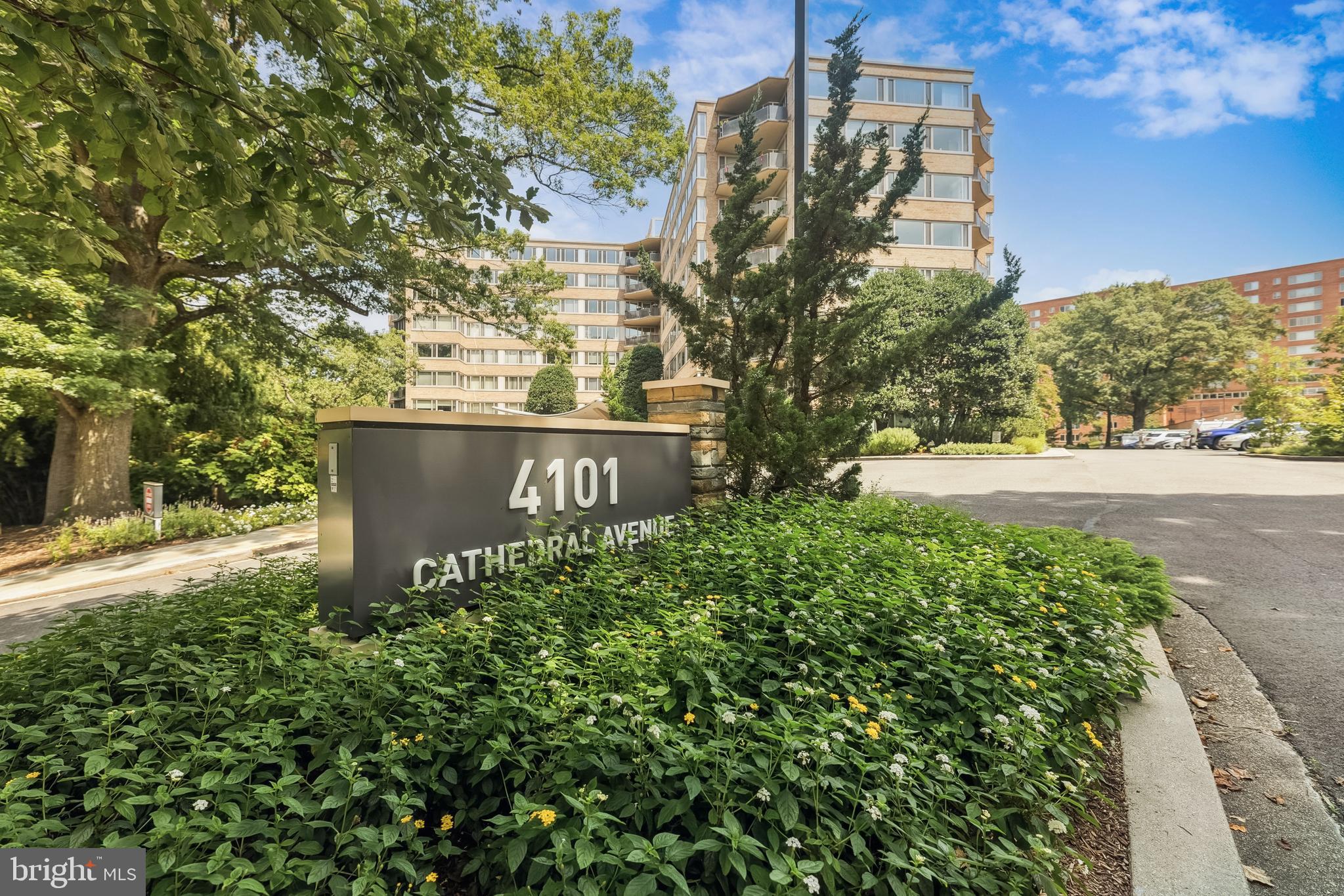 4101 CATHEDRAL AVENUE NW 917