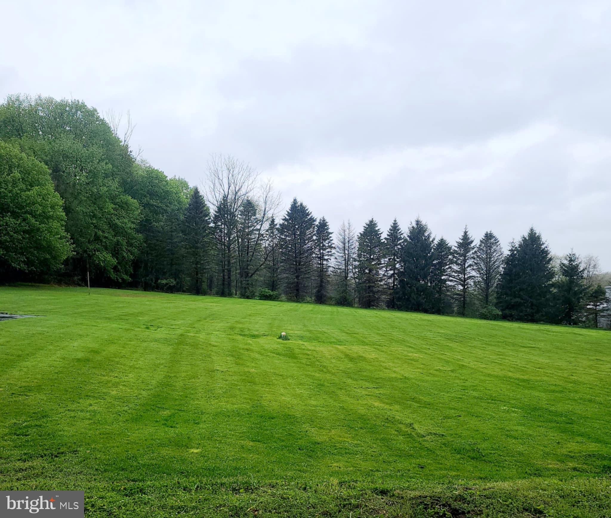 BULLS HEAD - Commercial Sale