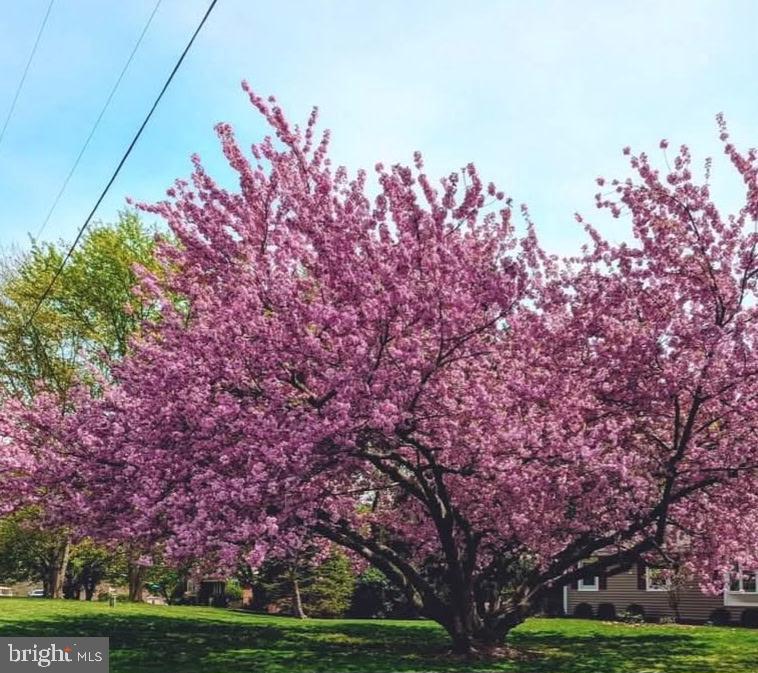 CEDAR HILLS - Residential