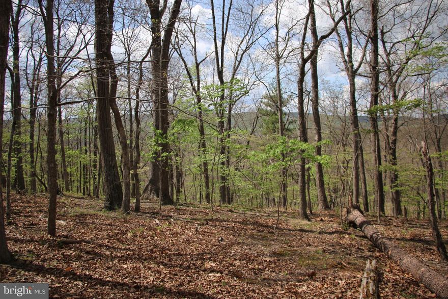 Enjoy rural living and fun on this building lot in the Westwood Terrace community. This prime building lot is located off of Pinehill Drive at the base of Hunting Ridge. Access is secured via road frontage on paved Oak Drive and graveled Day Drive. Electricity and other utilities are nearby making for cost effective hookups. This land is zoned RA and the topography ranges from mild to steep. Ideal location to build a permanent residence or a weekend getaway for you and the family. Gorgeous views of the surrounding countryside are available from the upper elevations of this tract with some tree clearing. Deer and turkey frequent the area along with small game species. Access to all the amenities and entertainment Winchester has to offer are just a short drive away. No soil work has been done.