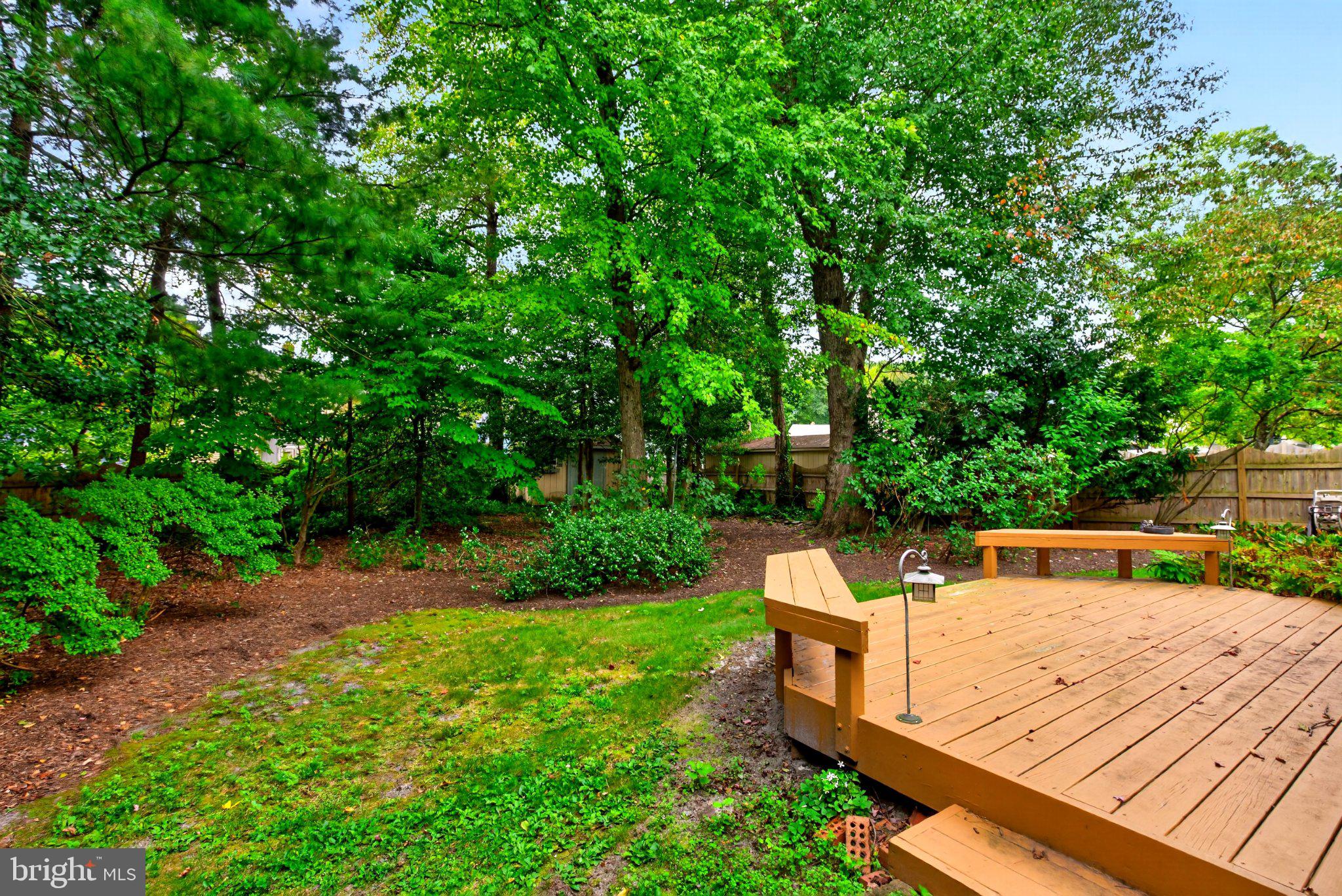 237 FOXWOOD LANE