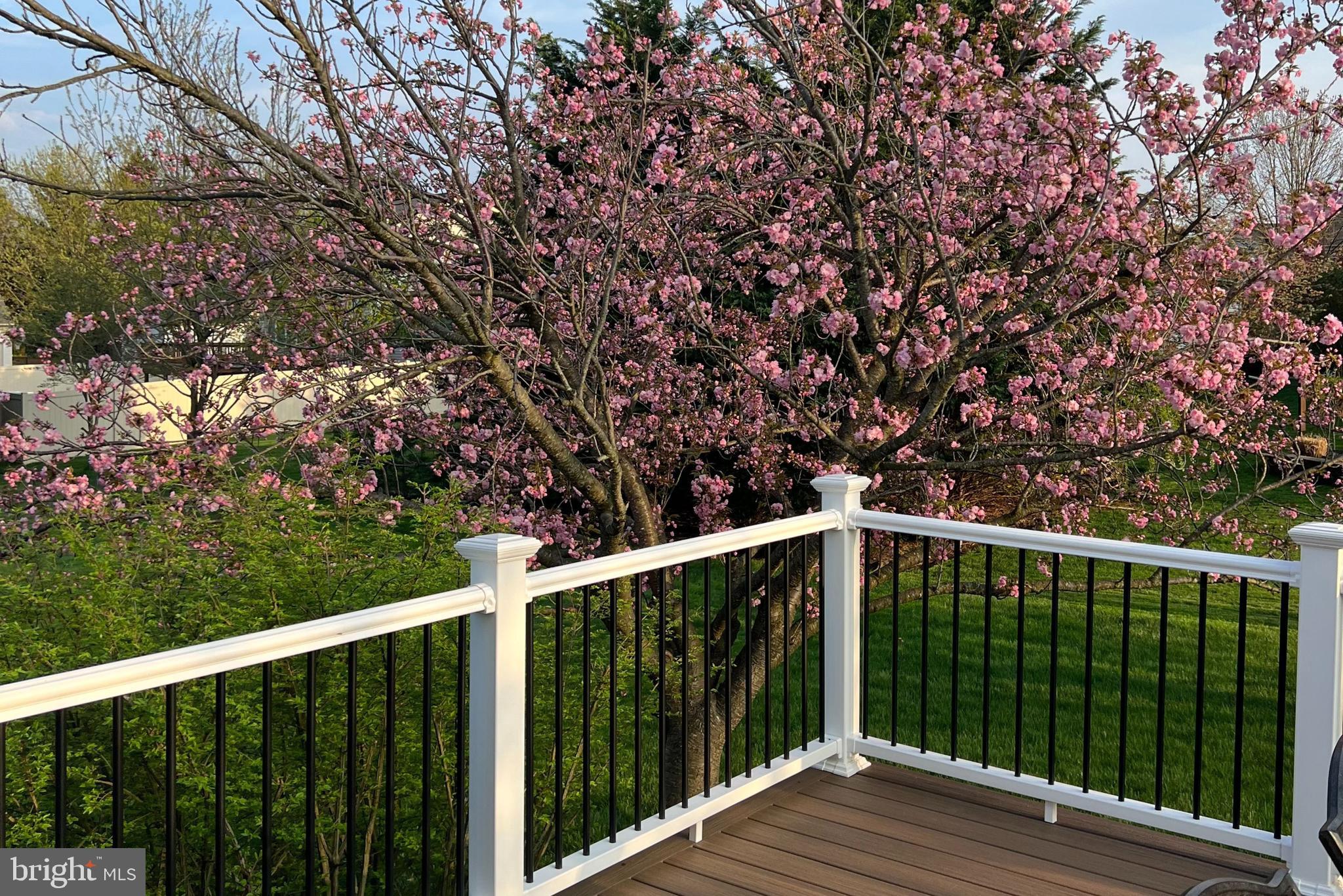 BROOKSIDE FARMS - Residential