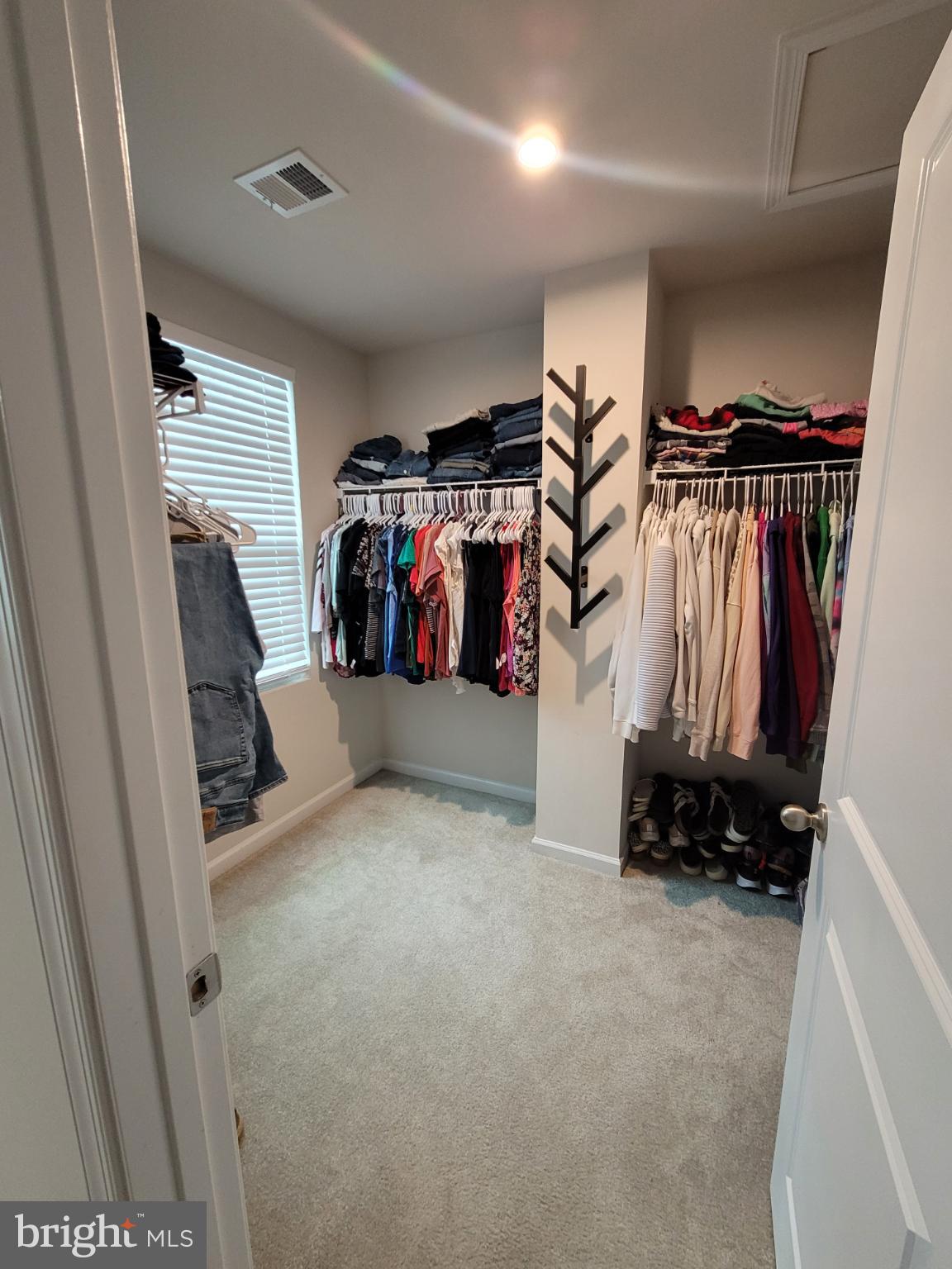 CARDINAL POINTE - Residential