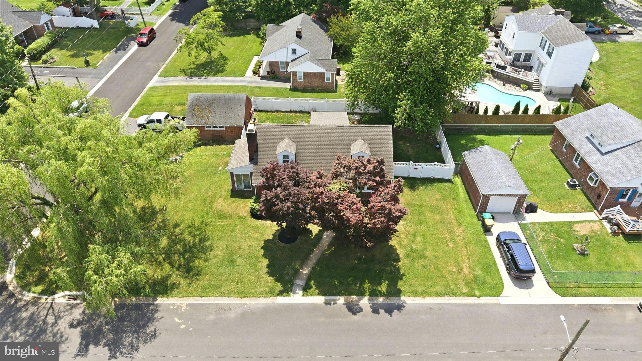 100 MAPLE