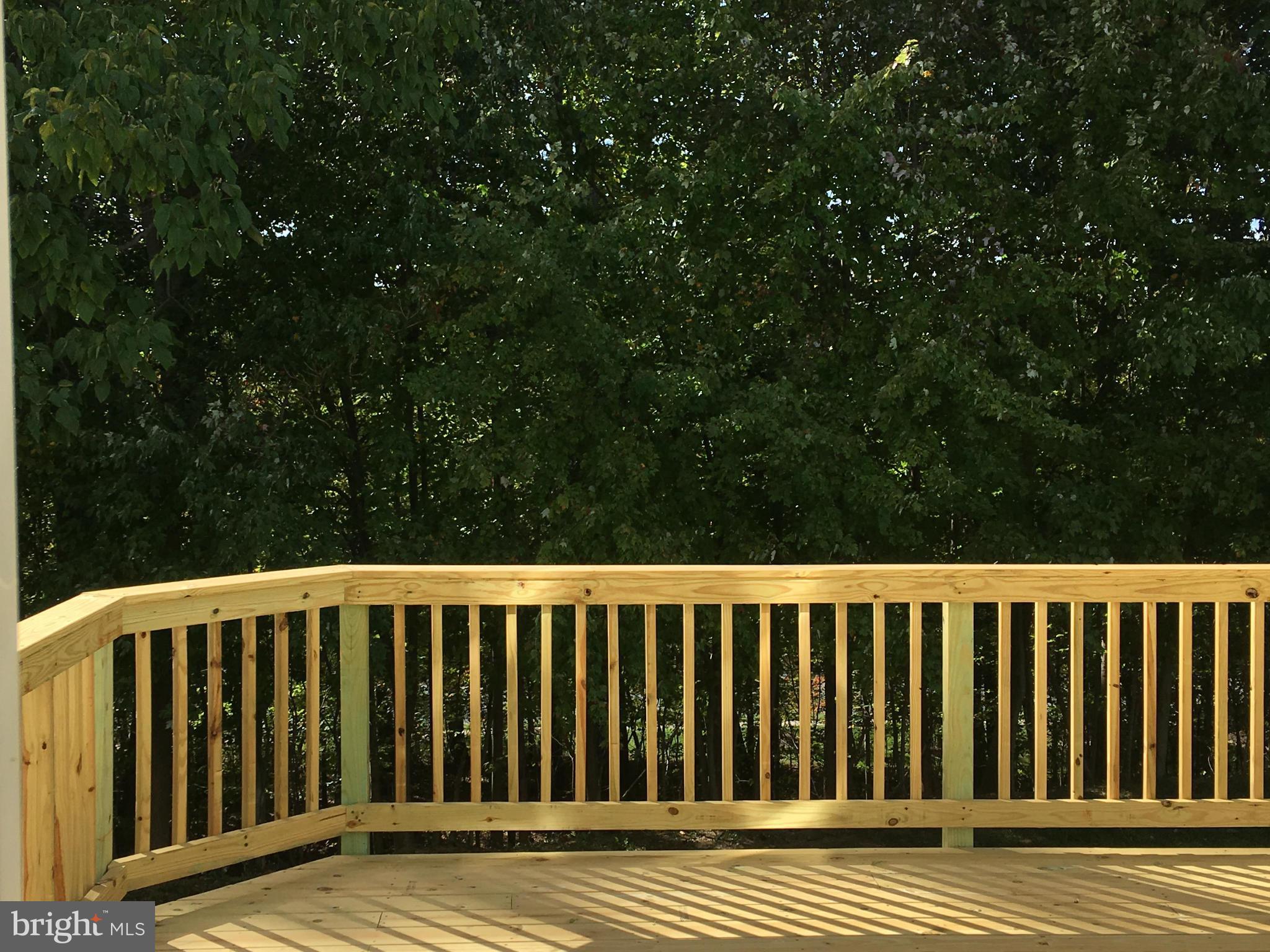 THE VILLAGES OF LYONSFIELD RUN - Residential