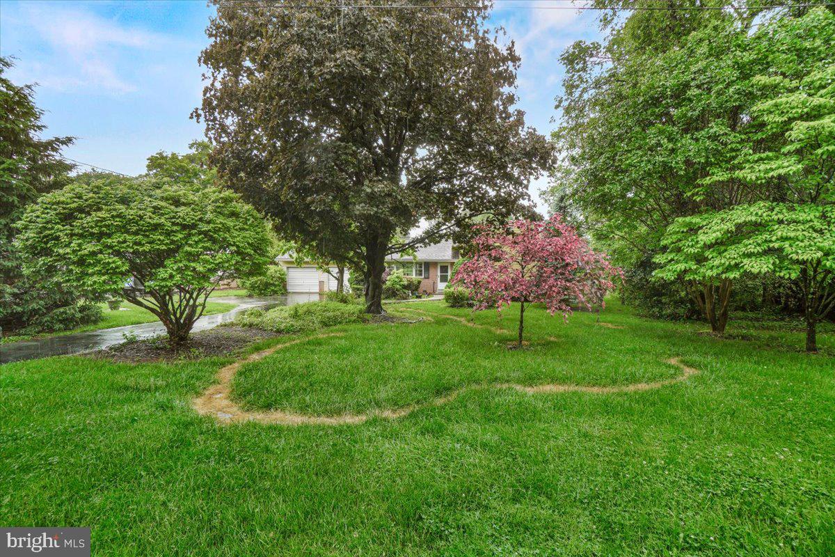 704 EDNOR ROAD