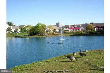 PINEY ORCHARD - Residential Lease