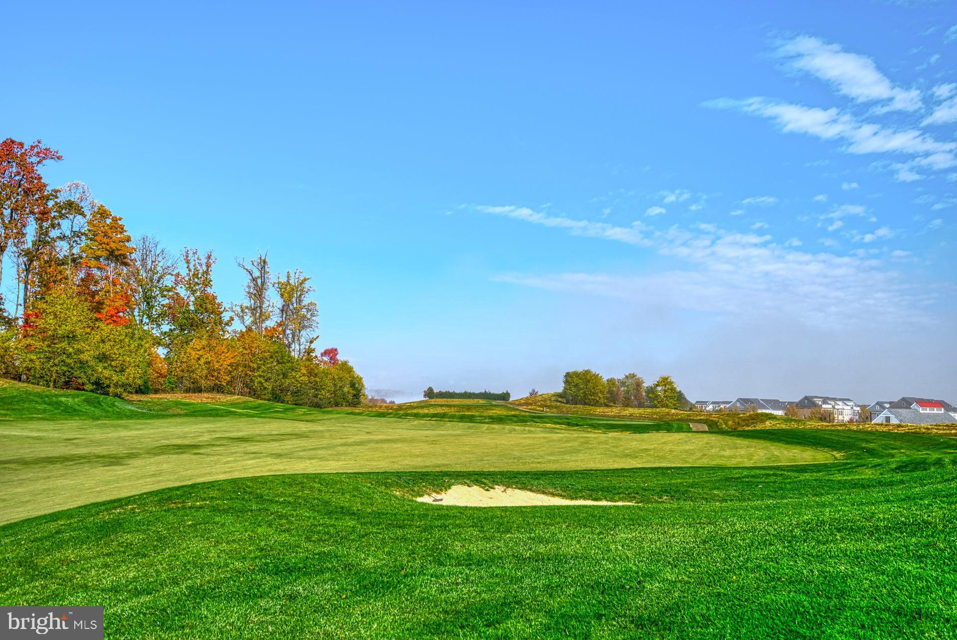 POTOMAC SHORES - Residential