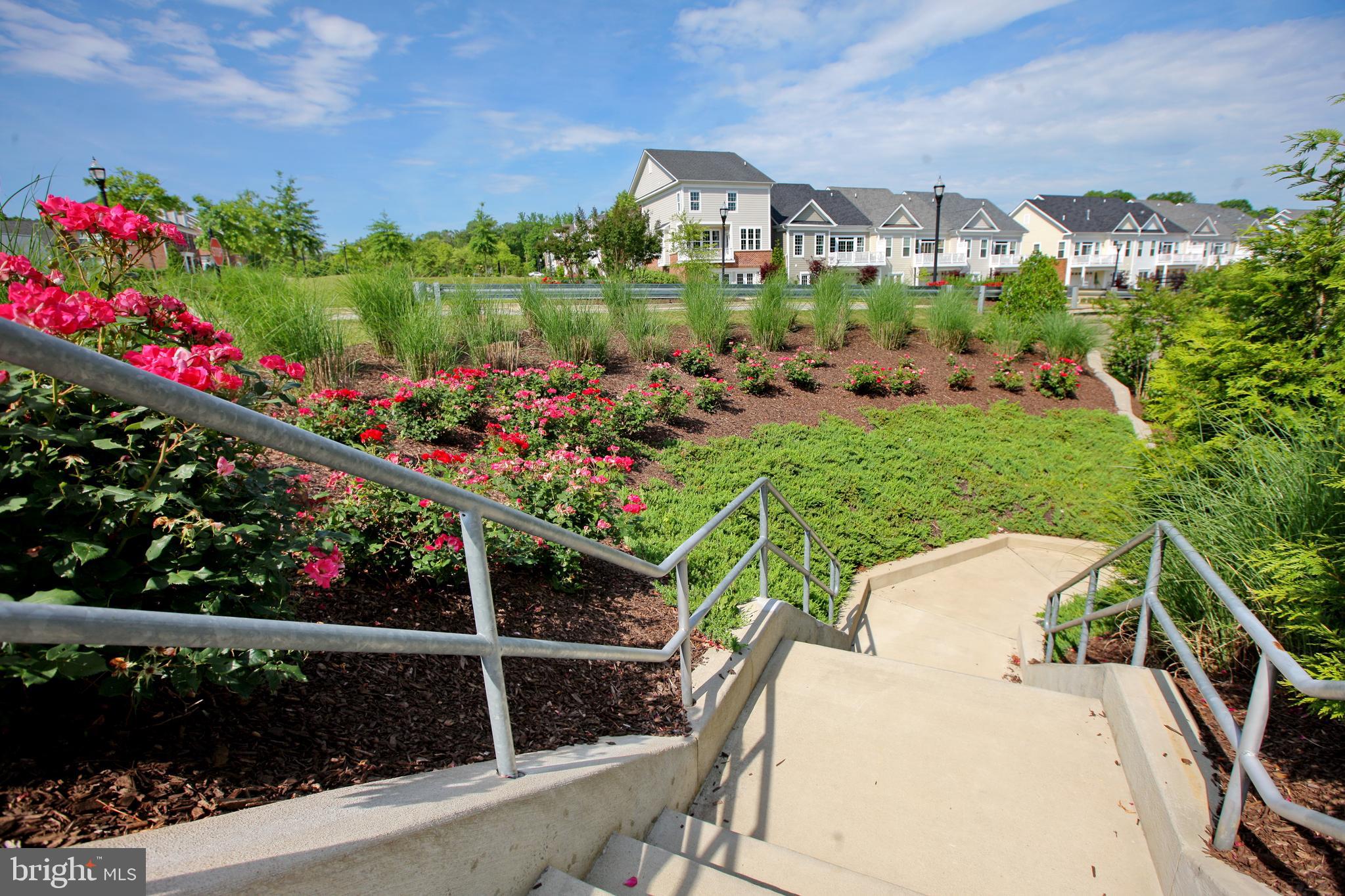 STEEPLECHASE - Residential Lease