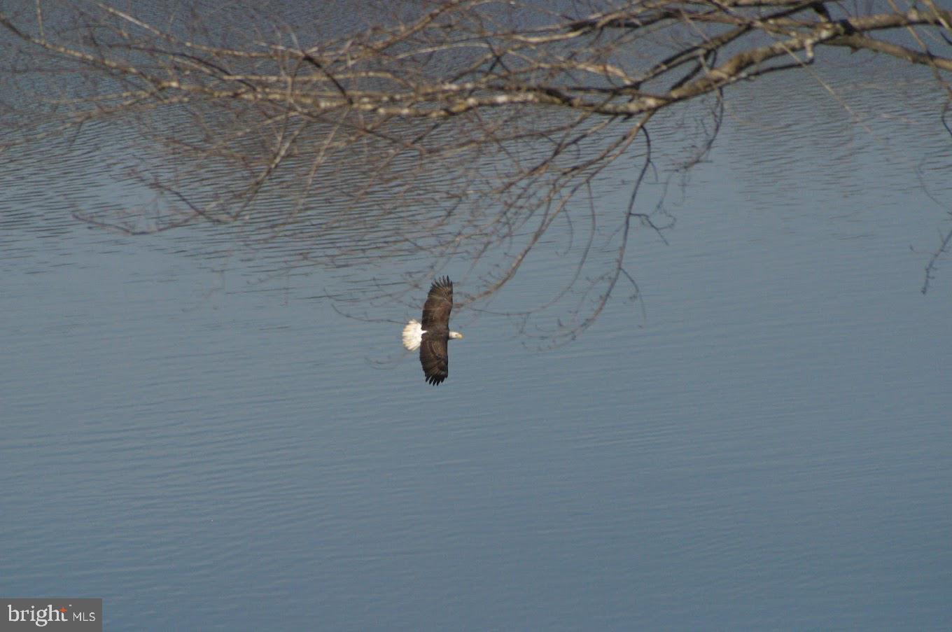 TWIN LAKES - Residential