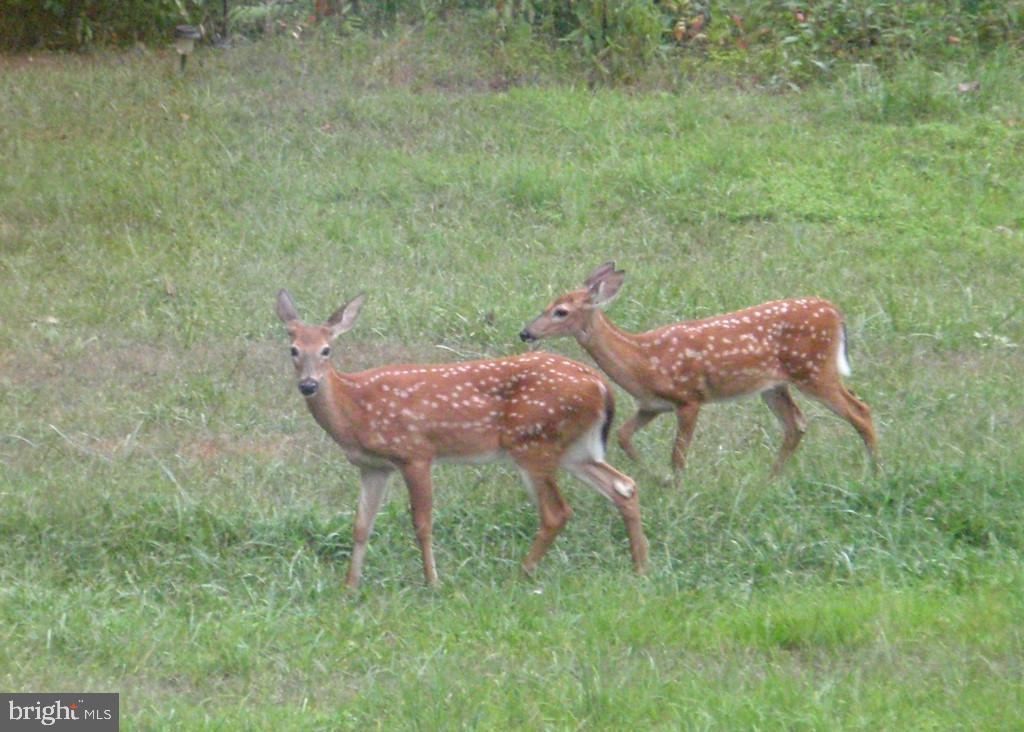 TWIN LAKES - Residential