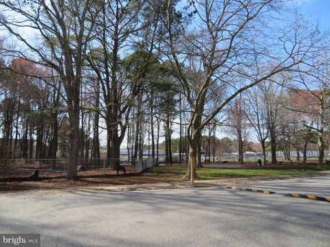 listing image 142
