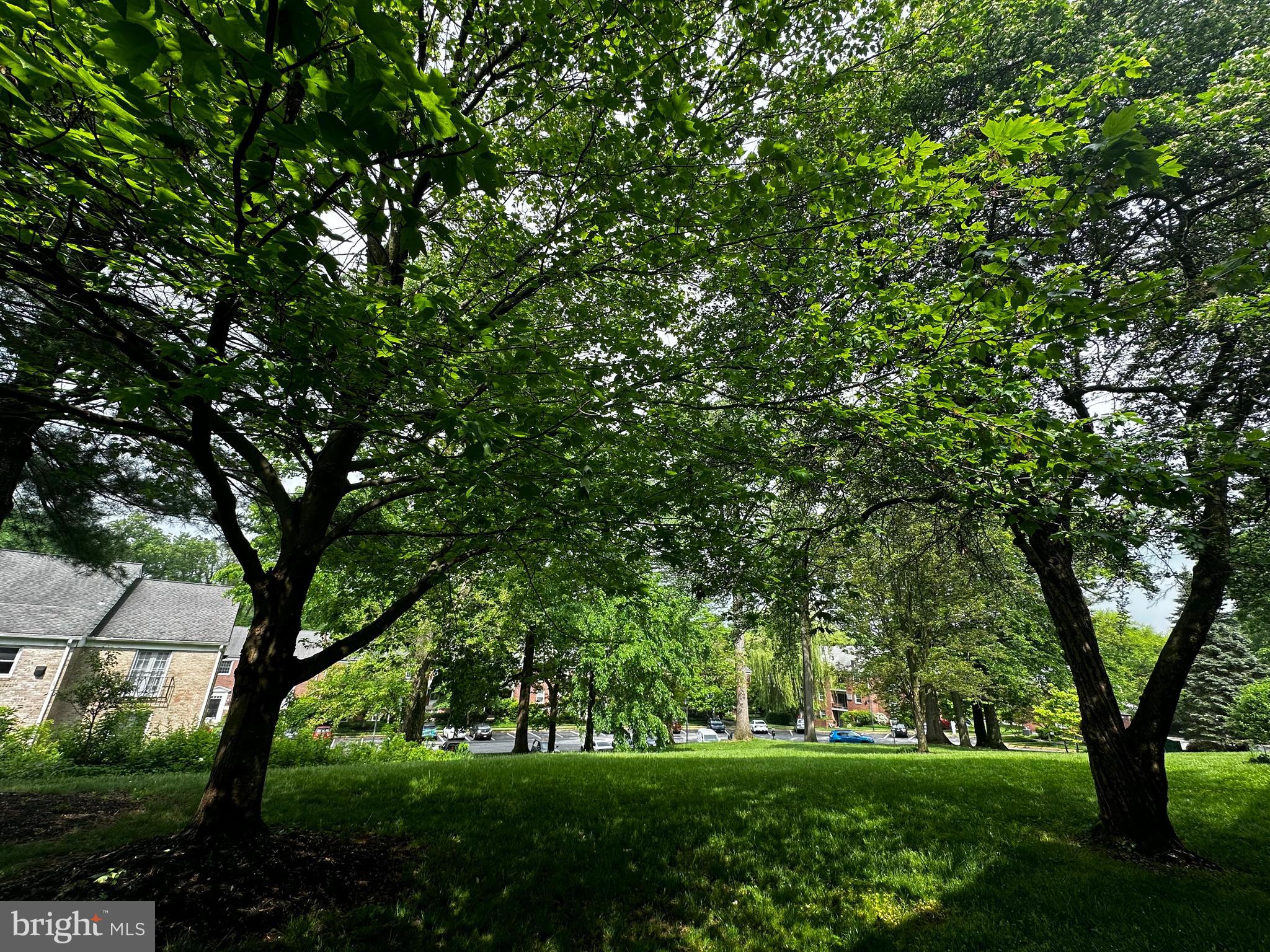 HOMELAND SOUTHWAY - Residential