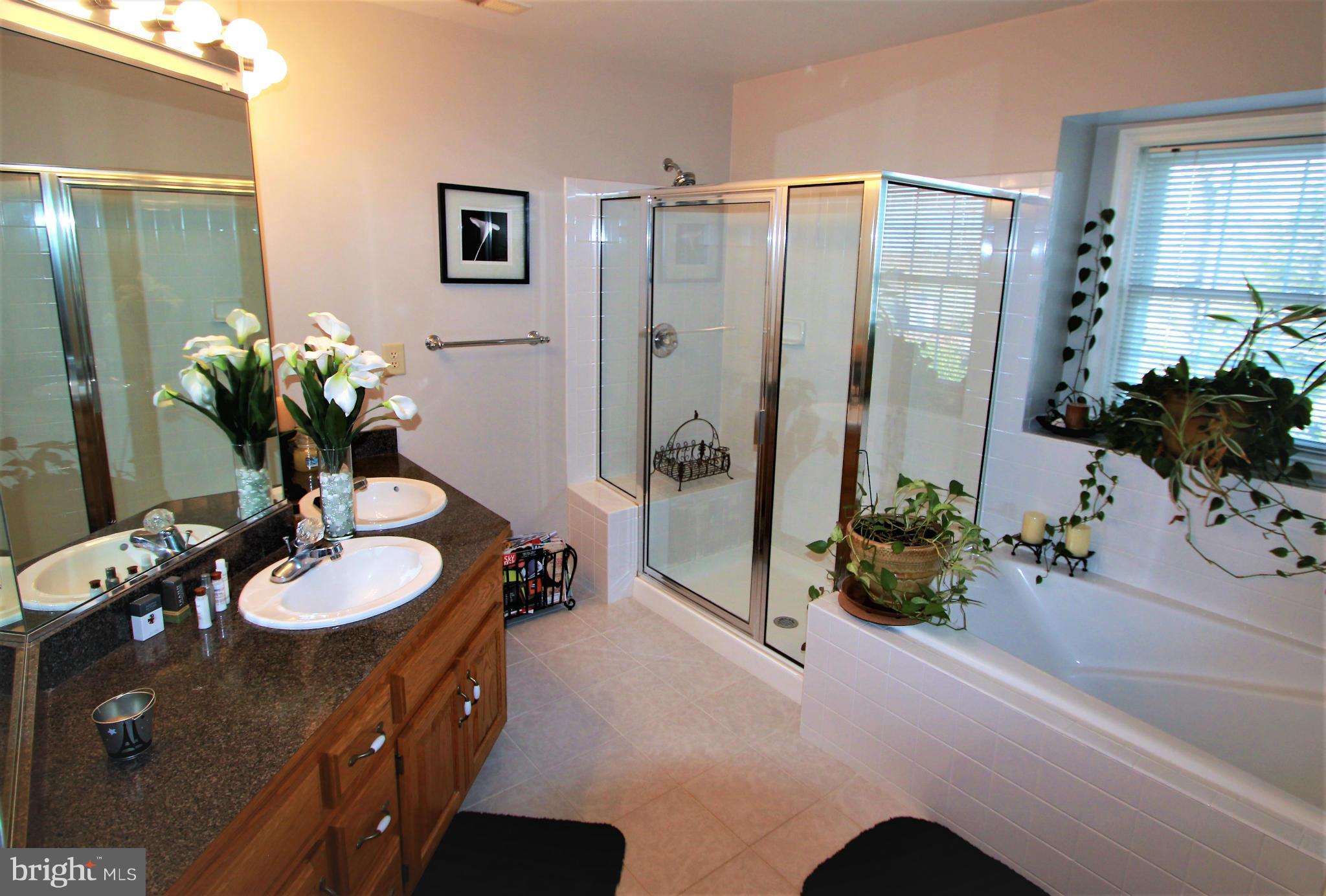 COLECHESTER VILLAGE - Residential