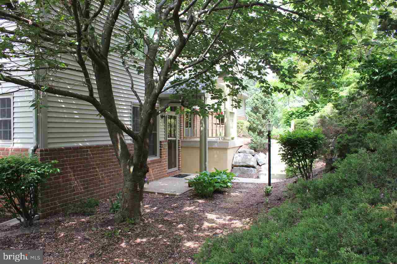 CAMBRIDGE COMMONS - Residential