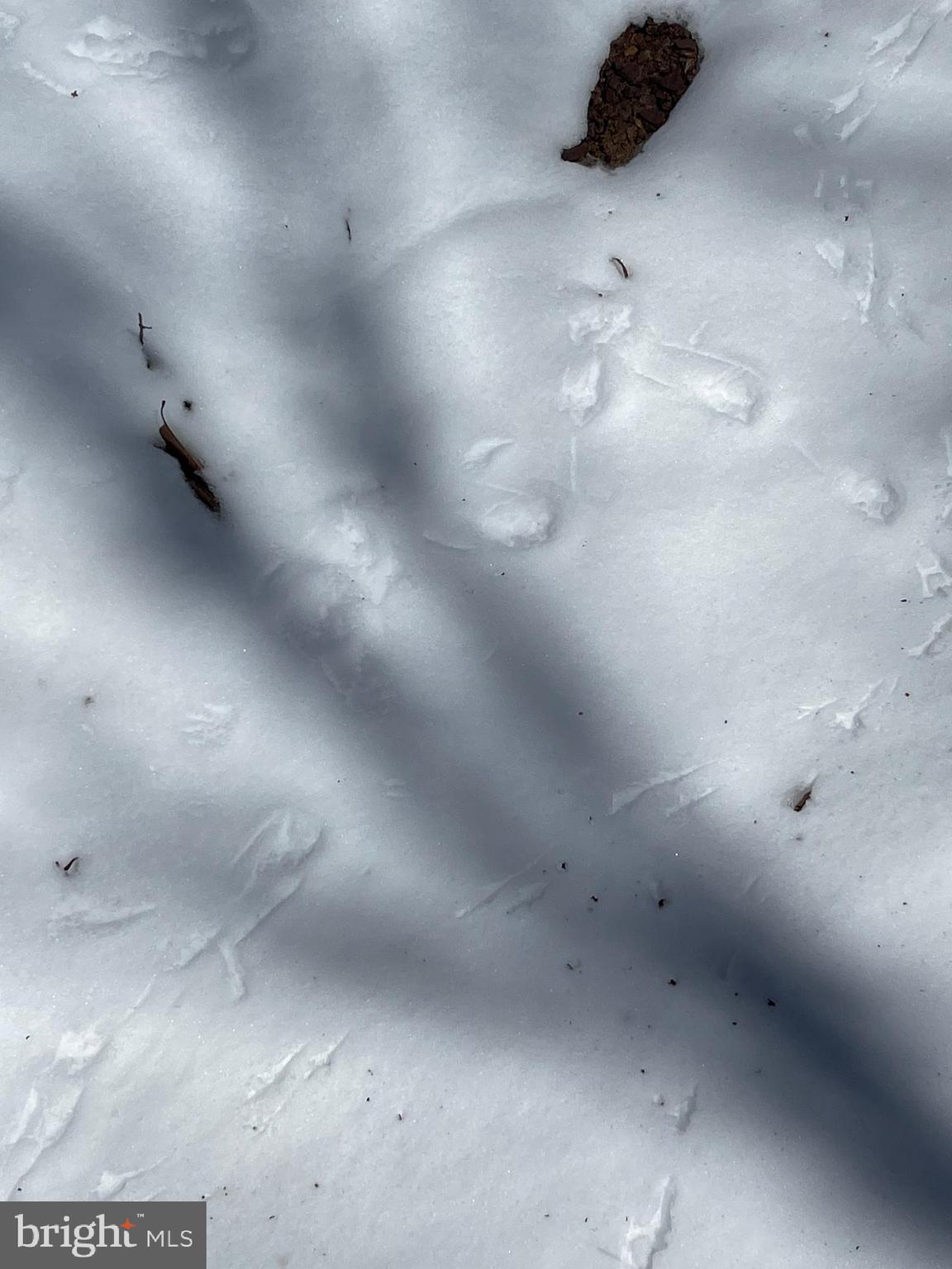 GREAT NORTH MOUNTAIN WILDERNESS - Residential