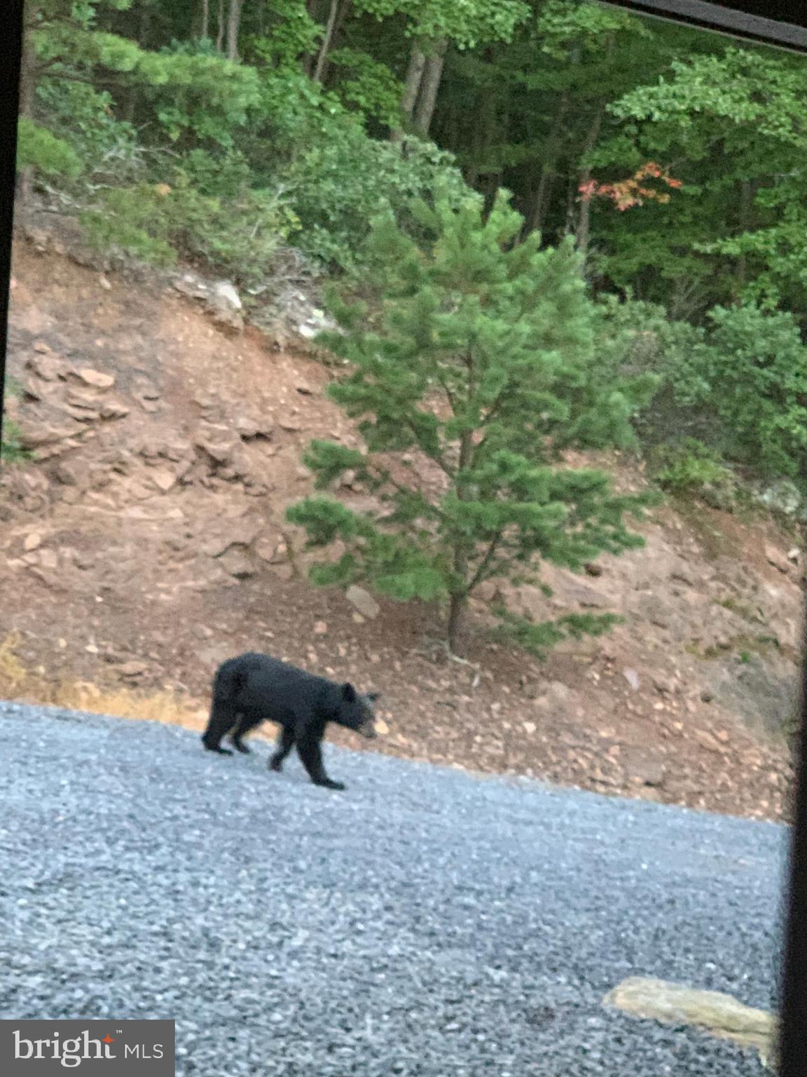 GREAT NORTH MOUNTAIN WILDERNESS - Residential
