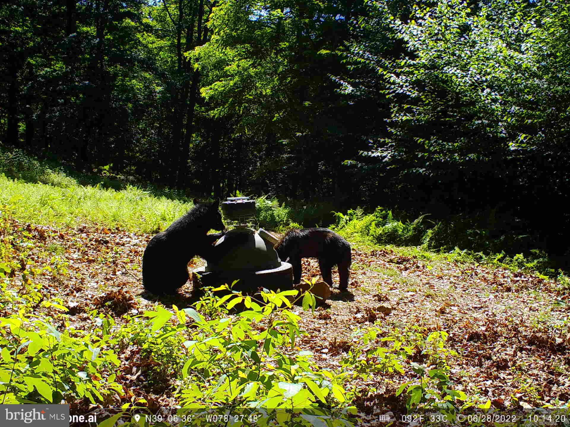 GREAT NORTH MOUNTAIN WILDERNESS - Residential