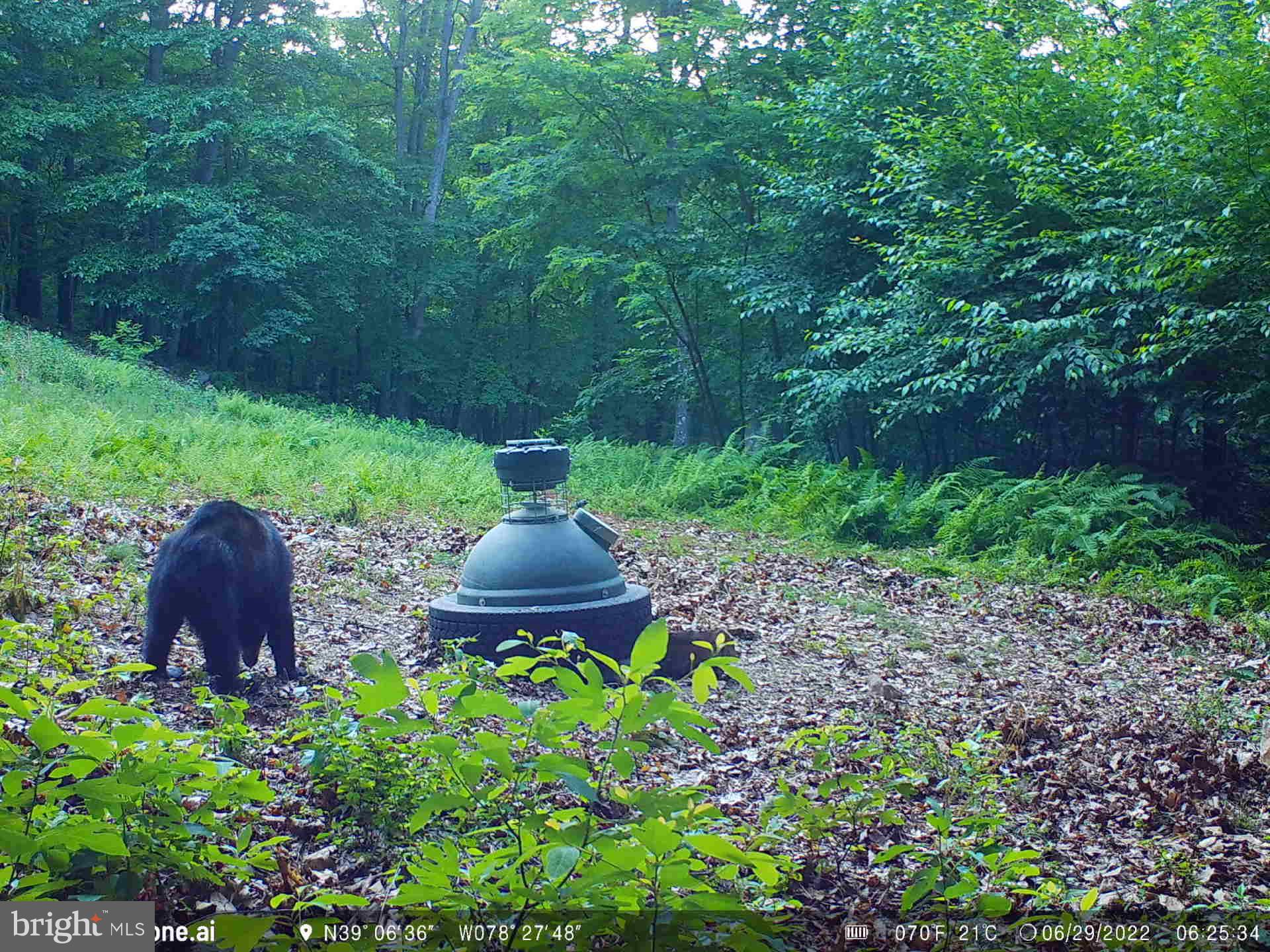 GREAT NORTH MOUNTAIN WILDERNESS - Residential