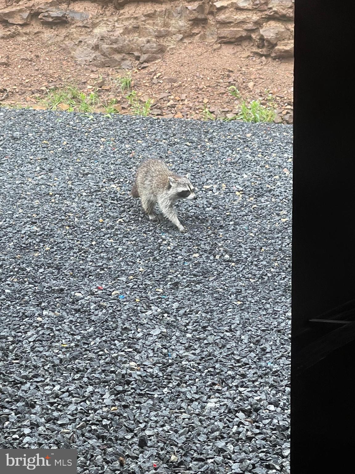 GREAT NORTH MOUNTAIN WILDERNESS - Residential