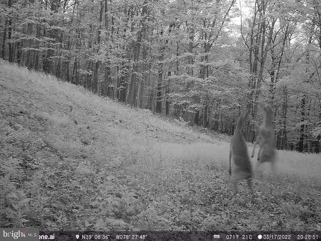 GREAT NORTH MOUNTAIN WILDERNESS - Residential