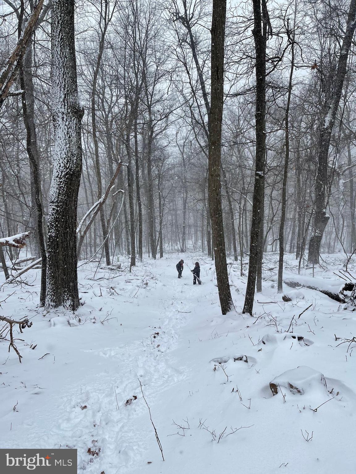 GREAT NORTH MOUNTAIN WILDERNESS - Residential