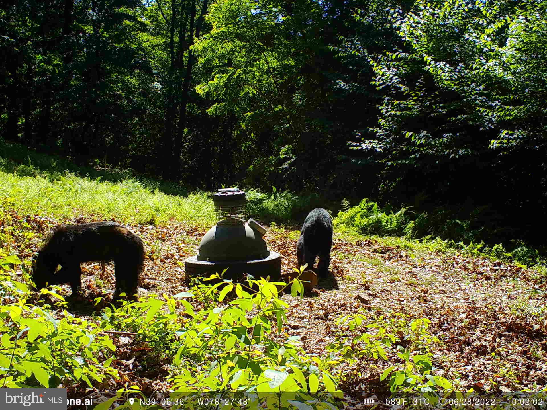 GREAT NORTH MOUNTAIN WILDERNESS - Residential