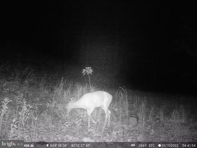 GREAT NORTH MOUNTAIN WILDERNESS - Residential