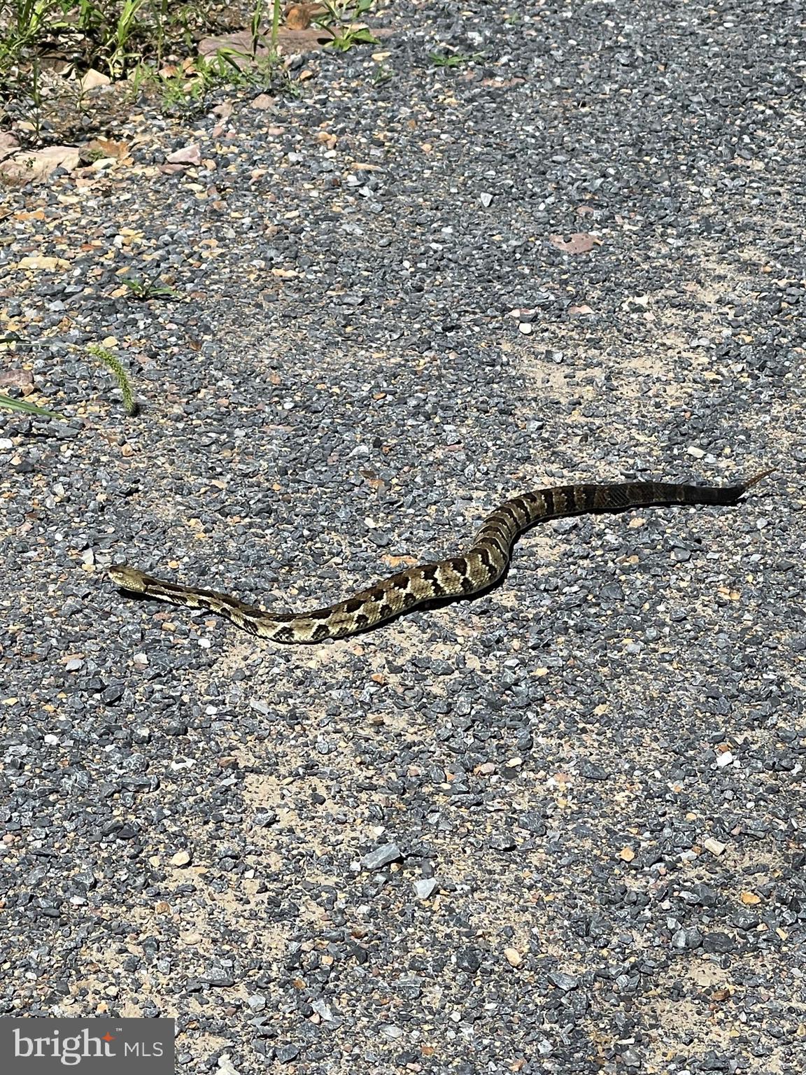 GREAT NORTH MOUNTAIN WILDERNESS - Residential