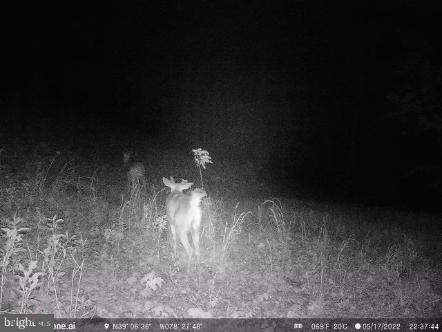 GREAT NORTH MOUNTAIN WILDERNESS - Residential