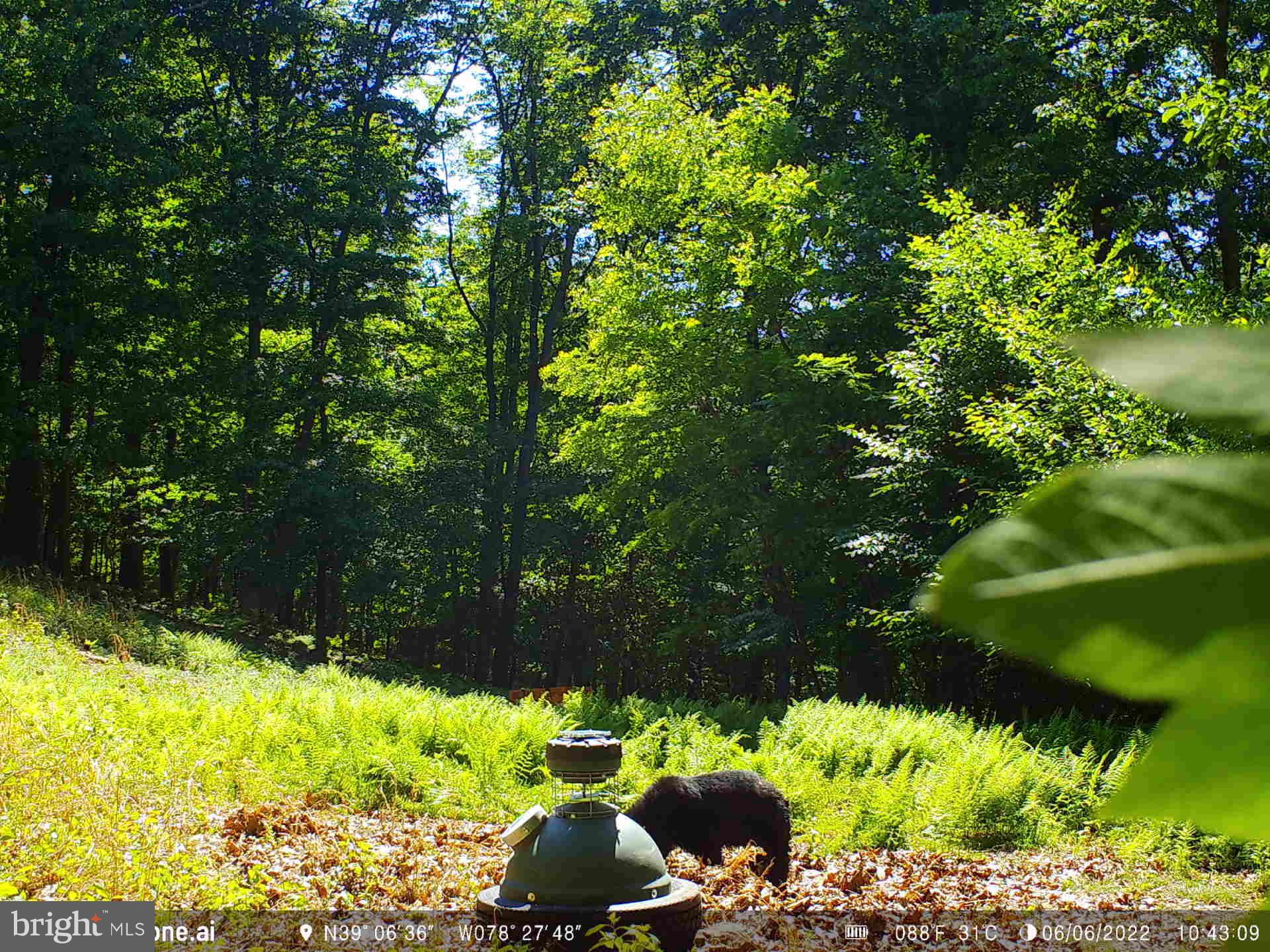 GREAT NORTH MOUNTAIN WILDERNESS - Residential