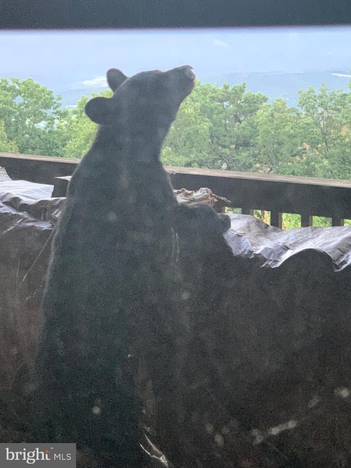 GREAT NORTH MOUNTAIN WILDERNESS - Residential