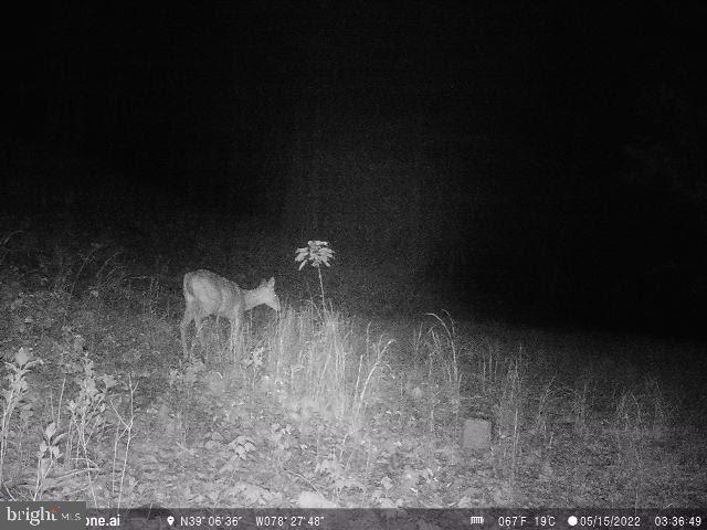 GREAT NORTH MOUNTAIN WILDERNESS - Residential