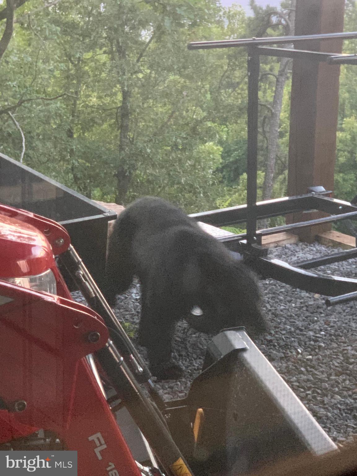 GREAT NORTH MOUNTAIN WILDERNESS - Residential